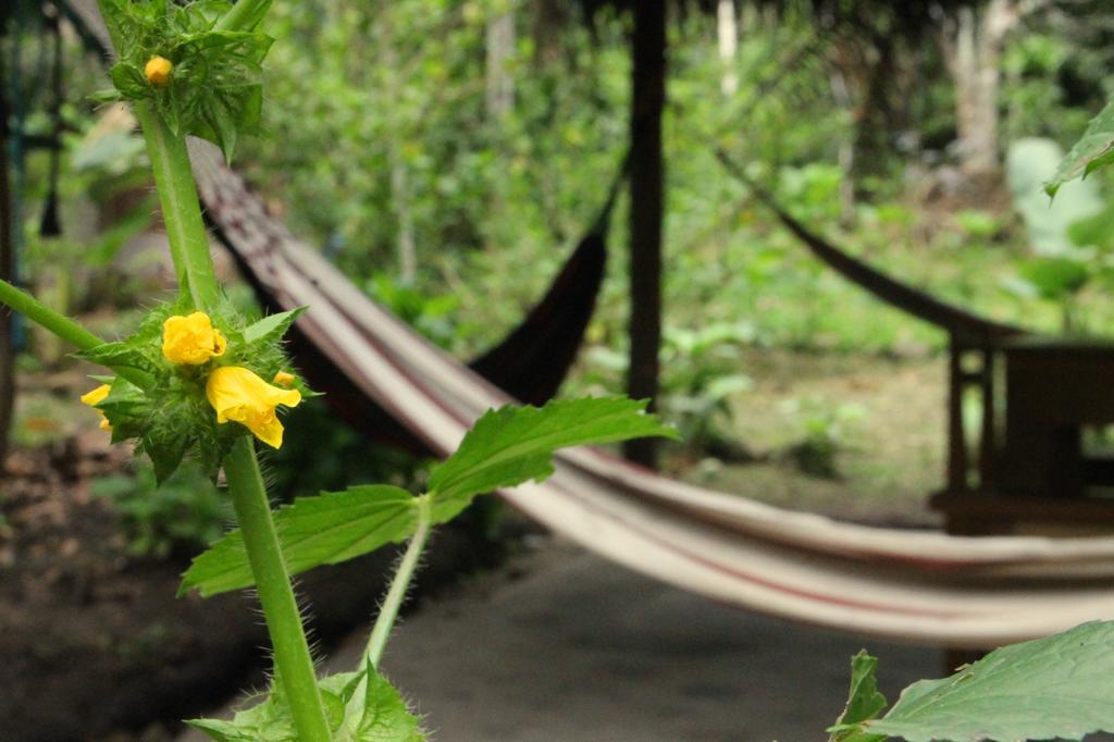 Shimiyacu Amazon Lodge Tarapoto Exterior photo