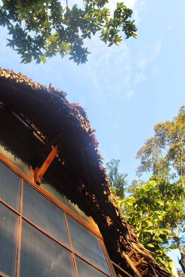 Shimiyacu Amazon Lodge Tarapoto Exterior photo