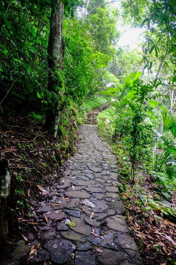 Shimiyacu Amazon Lodge Tarapoto Exterior photo