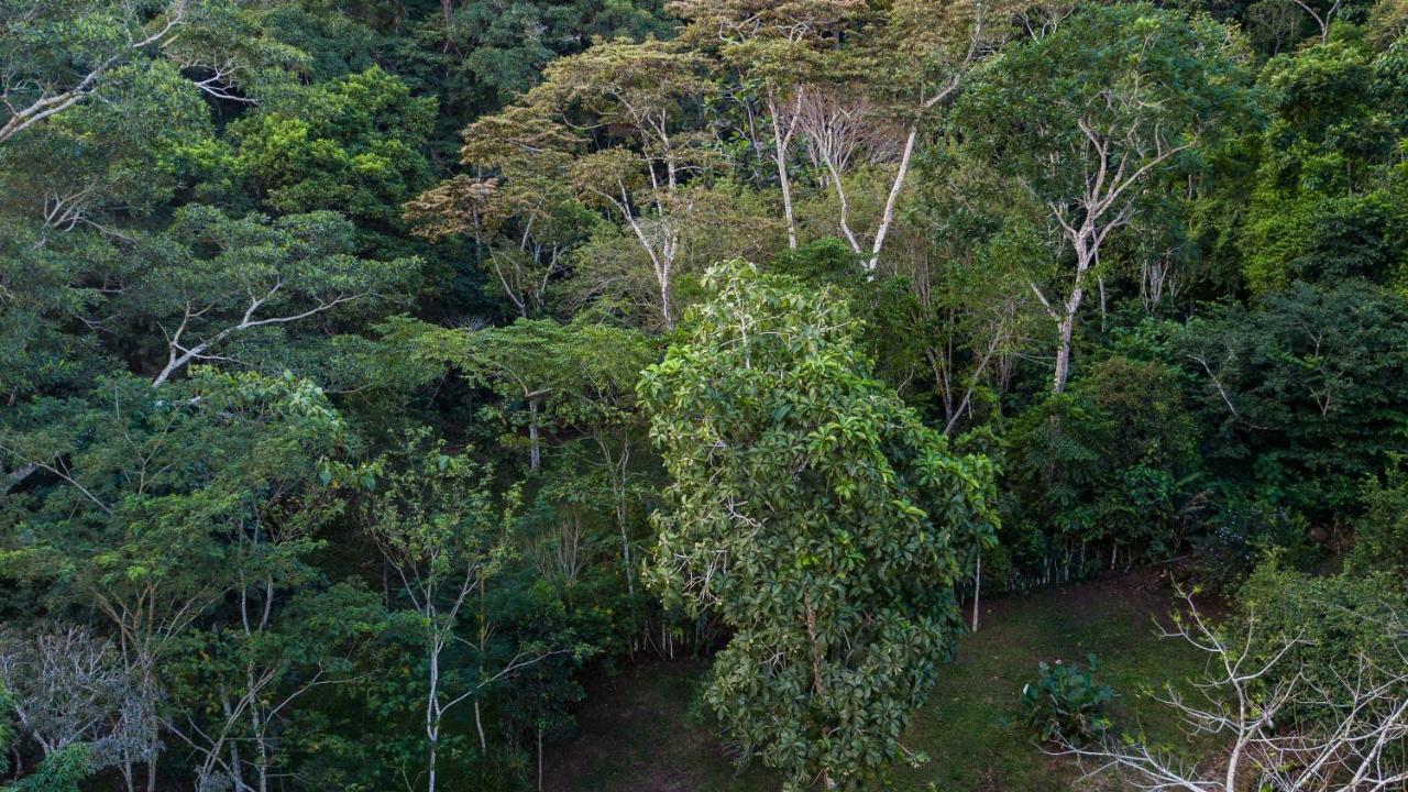 Shimiyacu Amazon Lodge Tarapoto Exterior photo