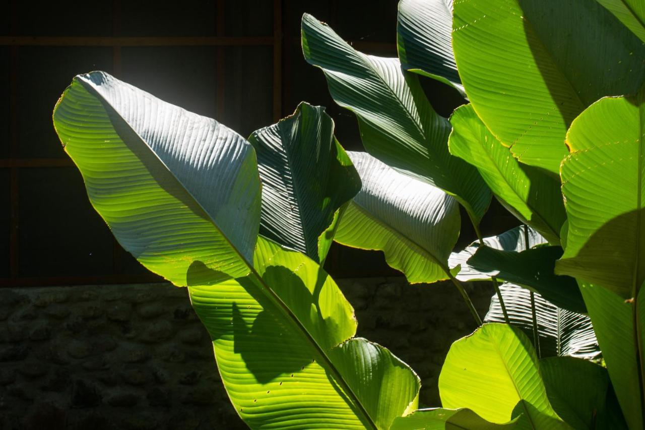 Shimiyacu Amazon Lodge Tarapoto Exterior photo